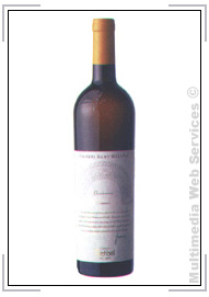 Vini bianchi: Chardonnay Collio DOC S. Helena