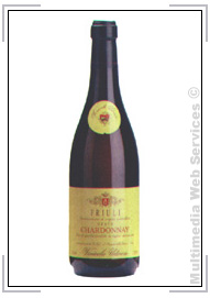 Vini bianchi: Chardonnay Friuli Grave DOC