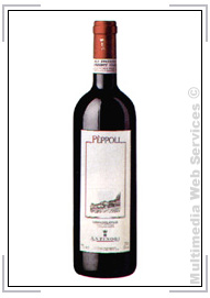 Vini rossi: Chianti Classico DOCG Pppoli