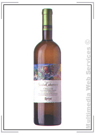 Vini bianchi: Collio DOC Pinot Grigio Santa Caterina