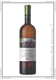 Vini bianchi: Collio DOC Sauvignon Santa Caterina