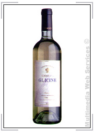 Vini bianchi: Corvo Glicine