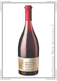 Vini rossi: Pinot Noir Reflets De Bourgogne