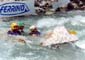 Carton Rapid Race
Foto 4